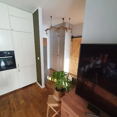 Loft Apartment Dluga Grobla