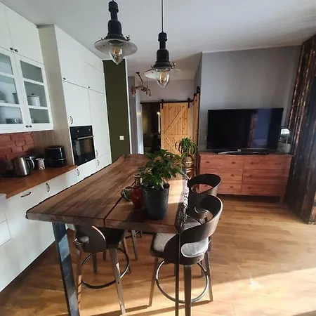 Διαμέρισμα Loft Apartment Dluga Grobla Γκντανσκ